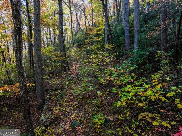 LOT 46 Utana Bluffs Trail, Ellijay, GA 30540