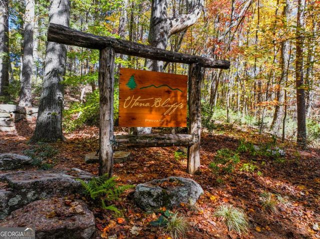 LOT 46 Utana Bluffs Trail, Ellijay, GA 30540
