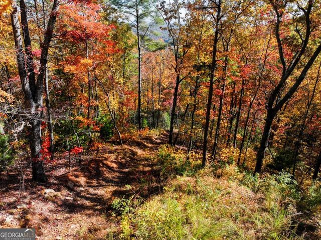 LOT 46 Utana Bluffs Trail, Ellijay, GA 30540
