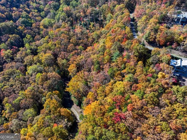 LOT 46 Utana Bluffs Trail, Ellijay, GA 30540