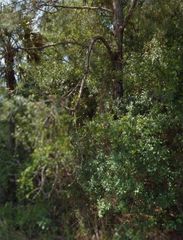OHIO ROAD, North Port, FL 34291