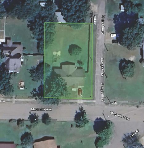 1103 Magnolia Ave, Mena, AR 71953