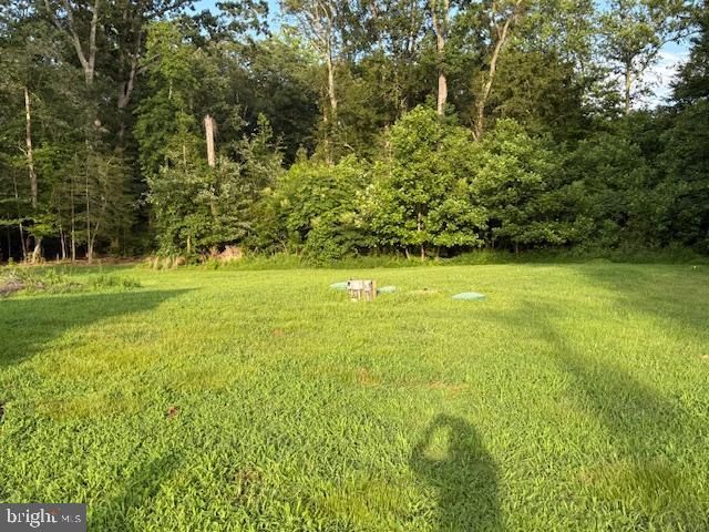 10105 AND 10085 MORGANTOWN RD, Newburg, MD 20664