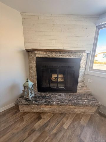 305 Chestnut Street, Leadville, CO 80461