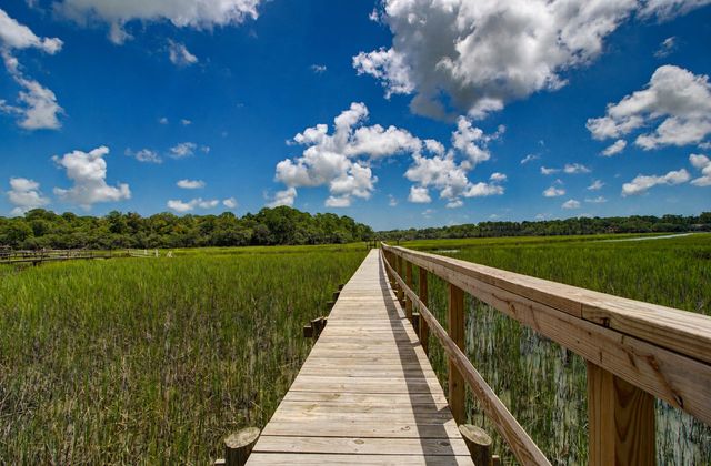 2039 Bentz Road, Wadmalaw Island, SC 29487