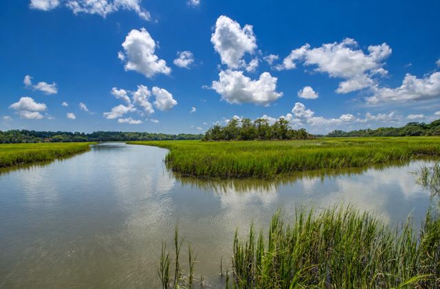 2039 Bentz Road, Wadmalaw Island, SC 29487