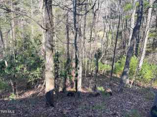 0 York Cabin/Heidi Hill Ln Road, 7, Butler, TN 37640