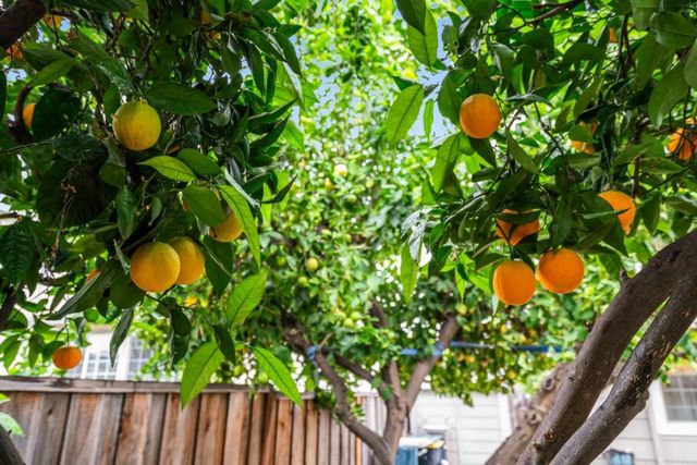 2456 Kenoga Drive, San Jose, CA 95121