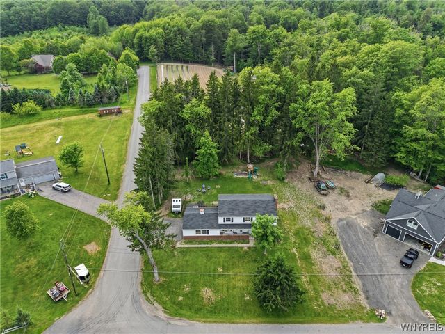 8894 Woodview Drive, Colden, NY 14033