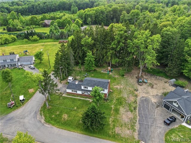 8894 Woodview Drive, Colden, NY 14033