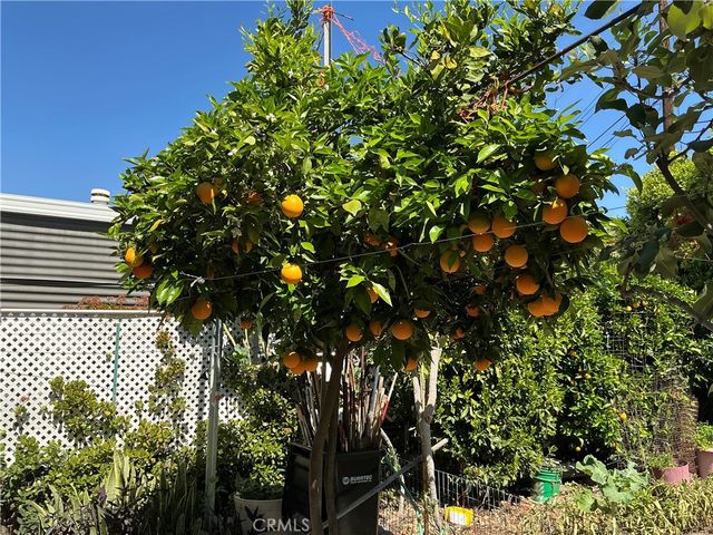 1515 W Arrow Highway, Upland, CA 91786