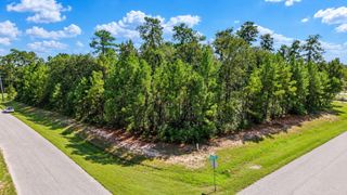 27414 Sgt Taylor Memorial, Spring, TX 77386