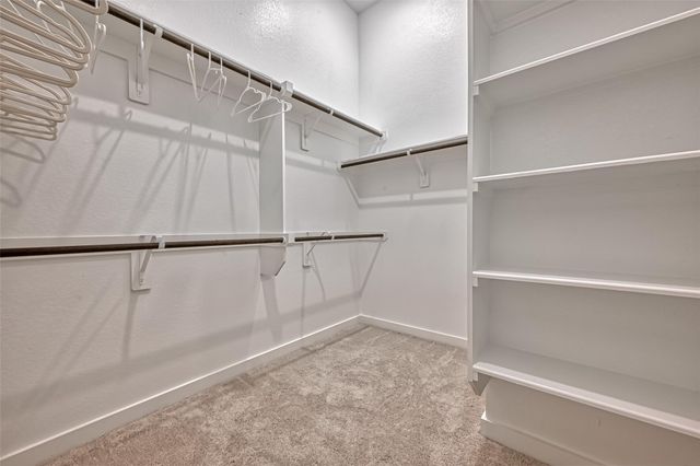 7933 Wild Thicket Drive, Magnolia, TX 77354