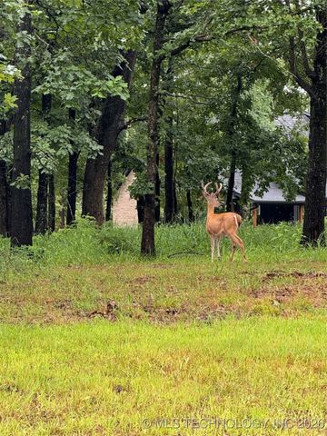 119402 S 4214 Loop, Eufaula, OK 74432