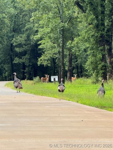 119402 S 4214 Loop, Eufaula, OK 74432