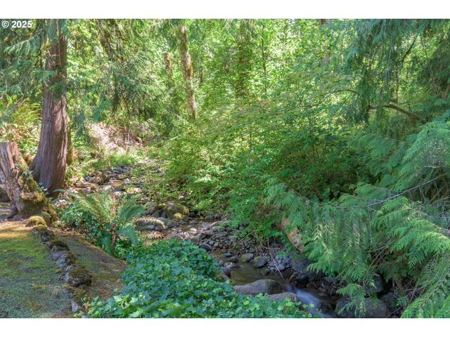 41886 DEERHORN Rd, Springfield, OR 97478