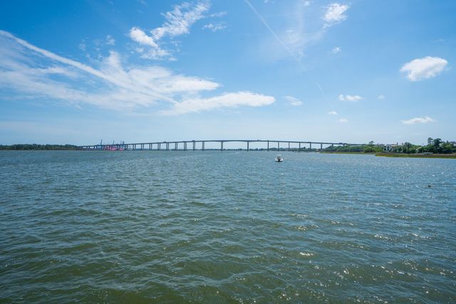 401 Wayfaring Point, Daniel Island, SC 29492
