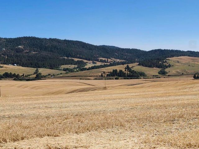 8006 S Jackson Rd, Mica, WA 99023