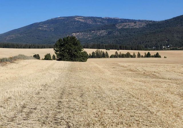 8006 S Jackson Rd, Mica, WA 99023