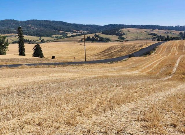 8006 S Jackson Rd, Mica, WA 99023