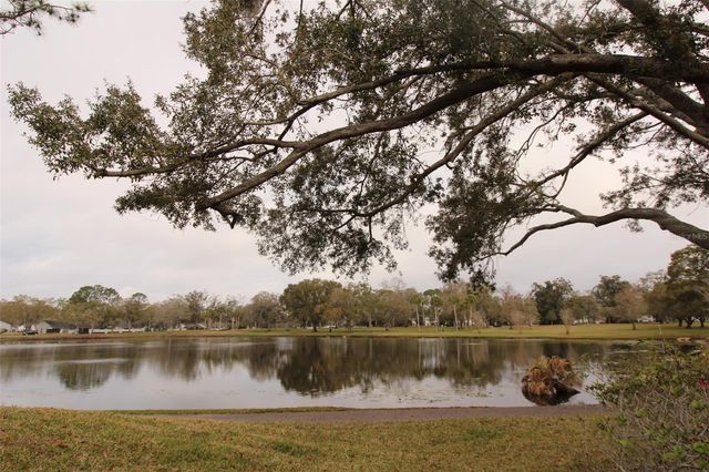 3400 CRYSTAL COURT W O, Palm Harbor, FL 34685