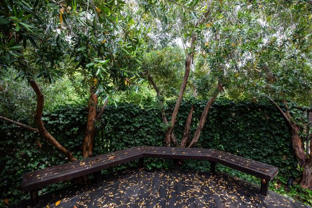 706 Tolman Drive, Stanford, CA 94305