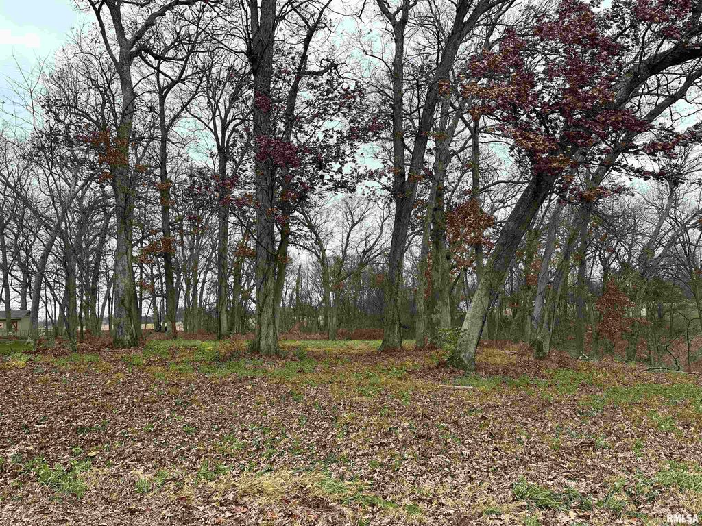 5216 227th Street Court, Port Byron, IL 61275