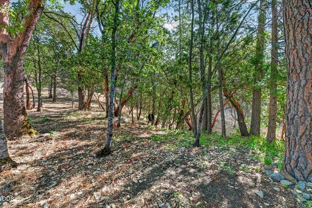 1277 N 5th Avenue, Gold Hill, OR 97525