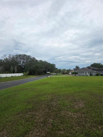 517 DOWLING CIRCLE, Lady Lake, FL 32159
