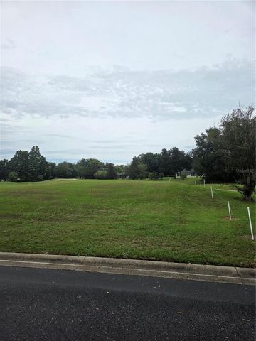 517 DOWLING CIRCLE, Lady Lake, FL 32159