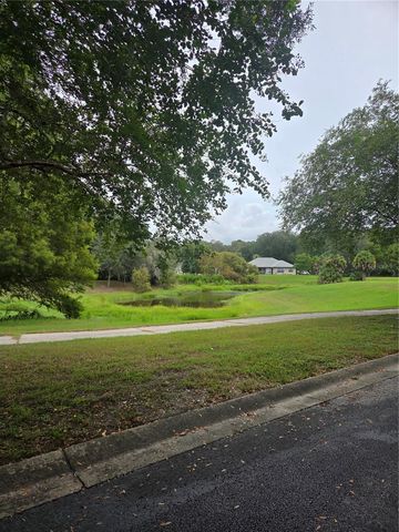 517 DOWLING CIRCLE, Lady Lake, FL 32159