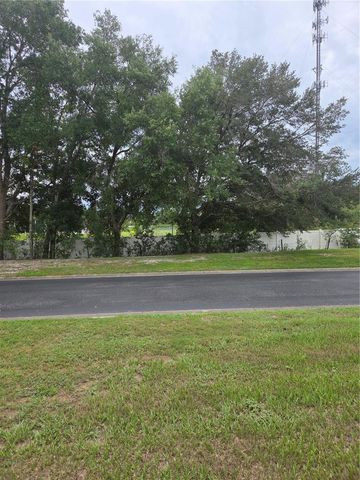 517 DOWLING CIRCLE, Lady Lake, FL 32159