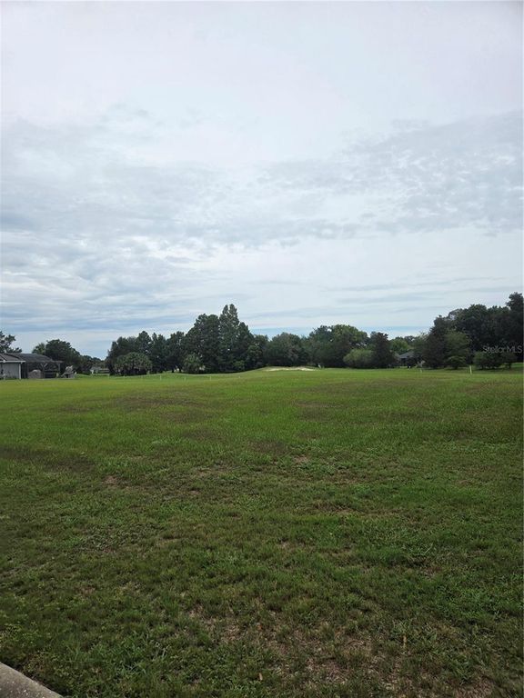 517 DOWLING CIRCLE, Lady Lake, FL 32159