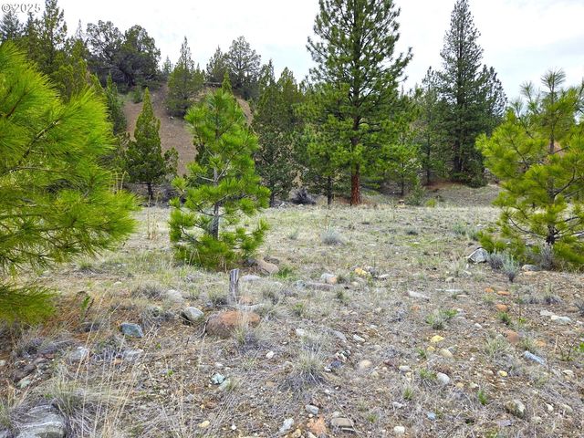 Elkview Dr, Canyon City, OR 97820