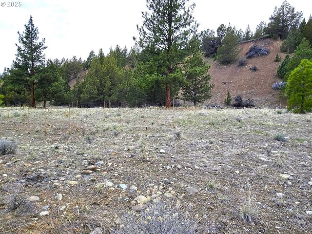 Elkview Dr, Canyon City, OR 97820