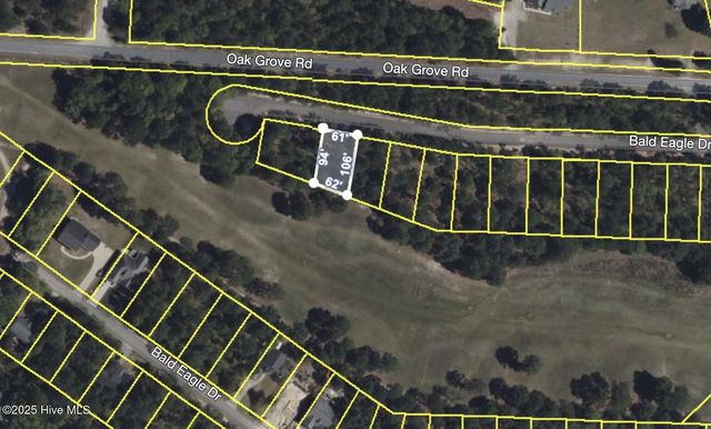 506 Bald Eagle Drive, Vass, NC 28394