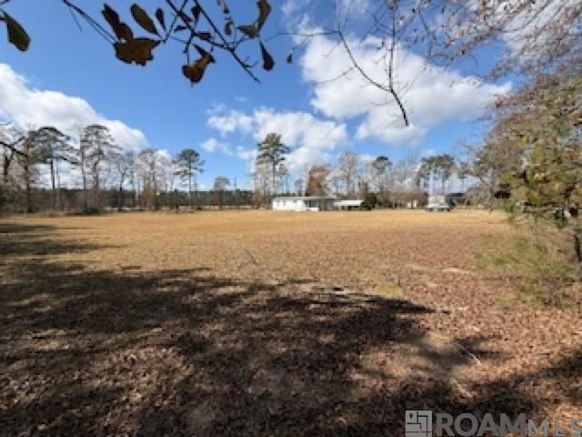 26307 Oliver Wheat Rd, Livingston, LA 70754