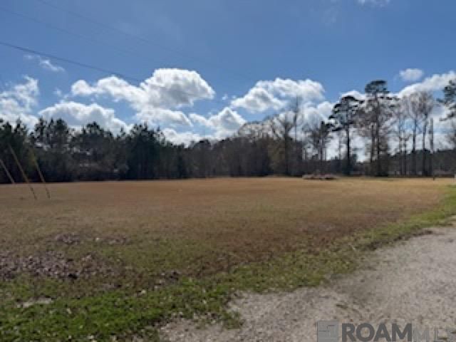 26307 Oliver Wheat Rd, Livingston, LA 70754