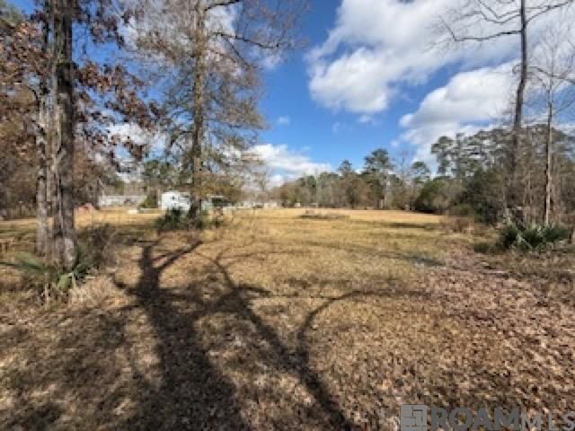 26307 Oliver Wheat Rd, Livingston, LA 70754