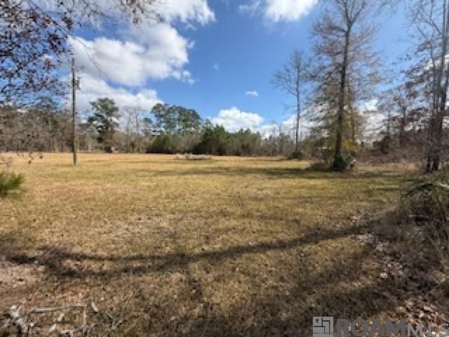 26307 Oliver Wheat Rd, Livingston, LA 70754