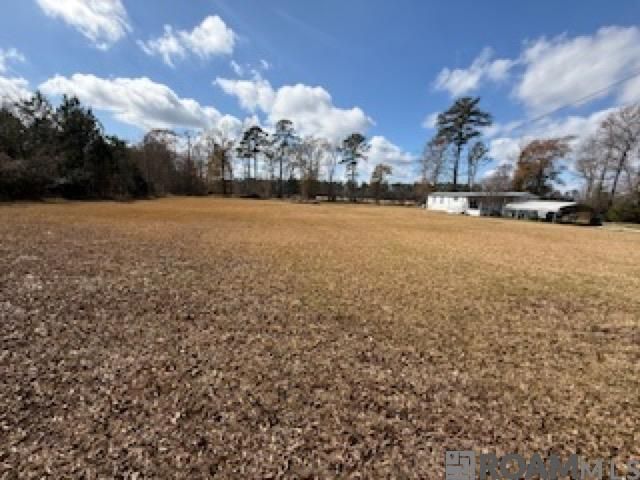 26307 Oliver Wheat Rd, Livingston, LA 70754