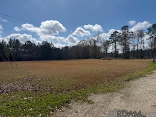26307 Oliver Wheat Rd, Livingston, LA 70754