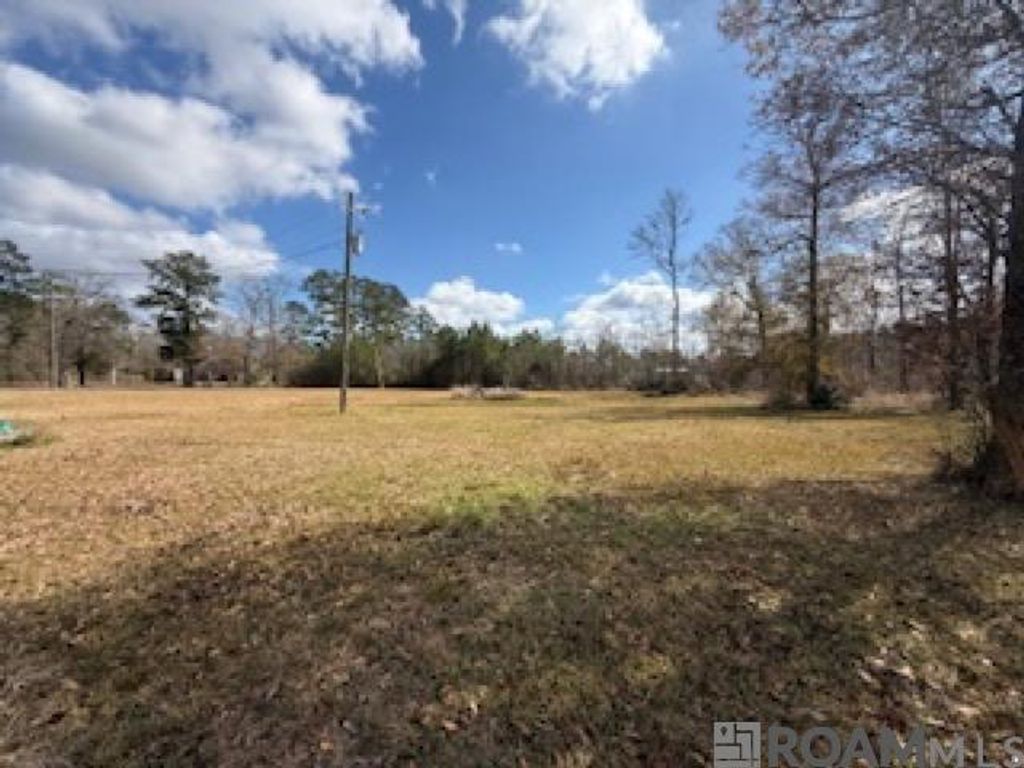 26307 Oliver Wheat Rd, Livingston, LA 70754