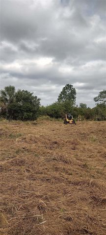 29455 PINE VILLA CIRCLE, Punta Gorda, FL 33982