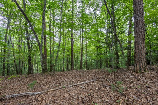 Lot 26 Persimmon Road, Murphy, NC 28906