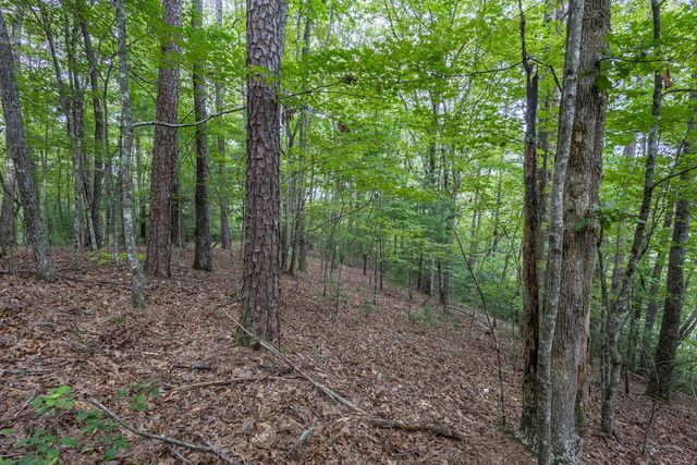 Lot 26 Persimmon Road, Murphy, NC 28906