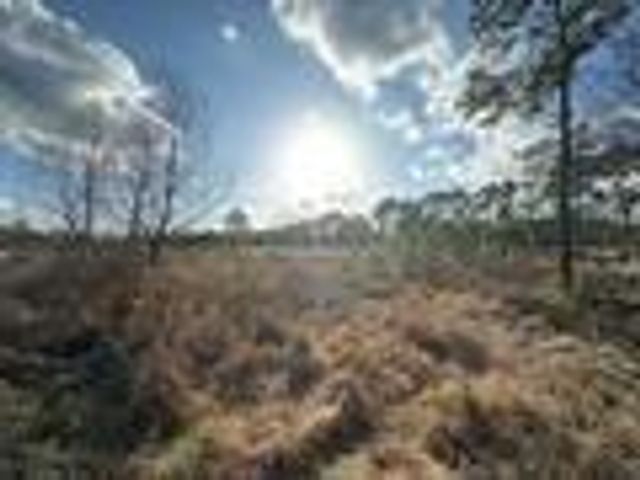 8.497 Fm-1130, Orange, TX 77632