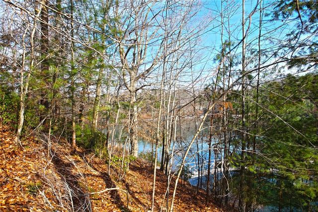 Lot 5 Royal Reserve, Sunset, SC 29685