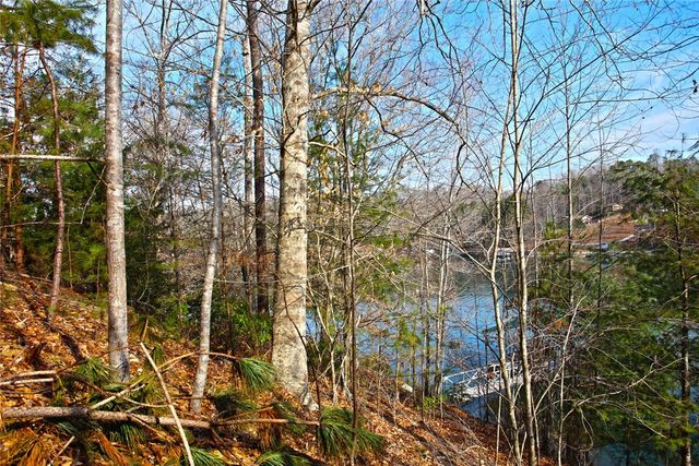 Lot 5 Royal Reserve, Sunset, SC 29685