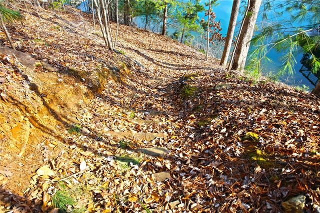 Lot 5 Royal Reserve, Sunset, SC 29685
